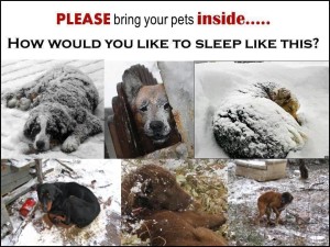 Keep your pets inside!